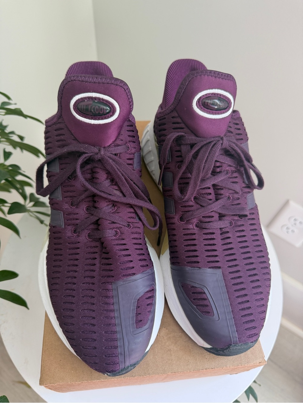 adidas Climacool Sneakers Purple US 8.5